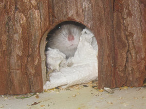 tschüss.jpg tschüss.jpg