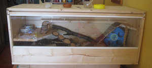 ida_eb.jpg ida_eb.jpg