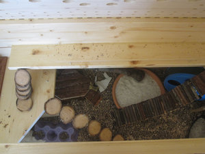 IMG_2389.jpg IMG_2389.jpg