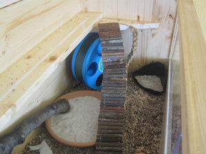 IMG_2387.jpg IMG_2387.jpg