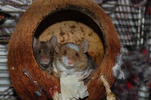 DSC_8851 - Kopie.JPG