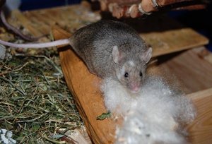 DSC_8868 - Kopie.JPG