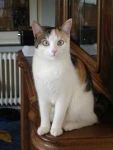 Luzie86.JPG Luzie86.JPG