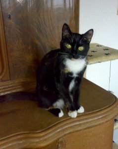 210120080361.jpg 210120080361.jpg