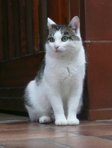 P1090779 gucci.jpg P1090779 gucci.jpg