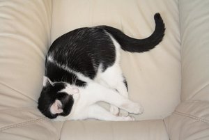 IMG_0112.JPG IMG_0112.JPG