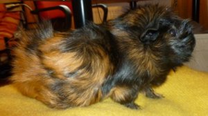 P1010552.JPG P1010552.JPG