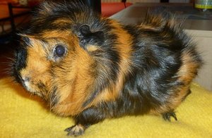 P1010556.JPG P1010556.JPG