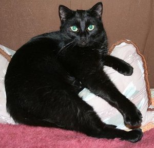 IMG_0258.JPG IMG_0258.JPG