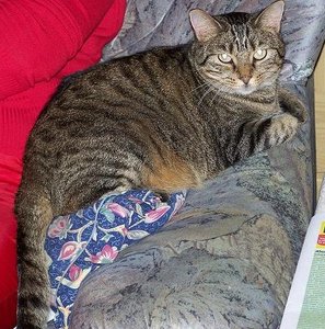 000_0011.jpg 000_0011.jpg