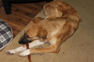 IMG_5744.JPG IMG_5744.JPG