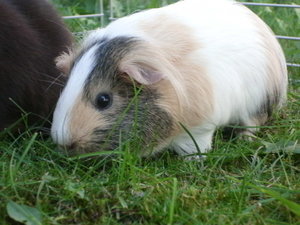 CIMG0745.JPG CIMG0745.JPG