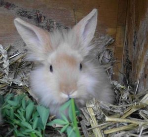 jenkan1xx.jpg jenkan1xx.jpg