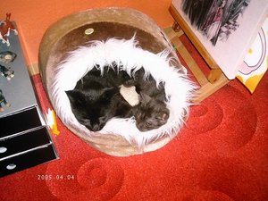 DCFC0328 - Kopie.JPG