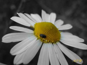 K640_DSC03897.JPG K640_DSC03897.JPG