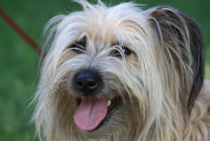 Colmar.JPG Colmar.JPG