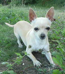 Portrait_Sunny_12.06.2011.jpg Portrait_Sunny_12.06.2011.jpg