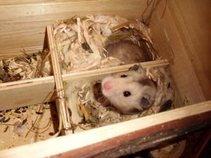 K640_SDC11178.JPG K640_SDC11178.JPG