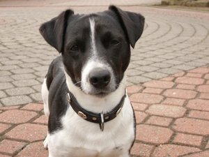 DSCI0029.jpg DSCI0029.jpg