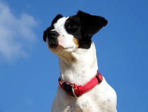 DSCF4143.jpg DSCF4143.jpg