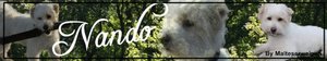 nandoo.jpg