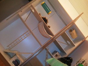 Foto0070 - Kopie.jpg