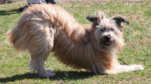 Colmar - LieblingsbeschÃ¤ftigung Woche 2 - TFNTD 2011.JPG