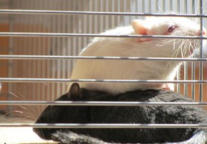 IMG_0830.JPG IMG_0830.JPG