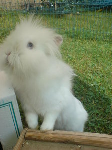 DSC01503 - Kopie.JPG