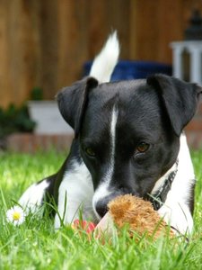 DSCF4836.JPG DSCF4836.JPG