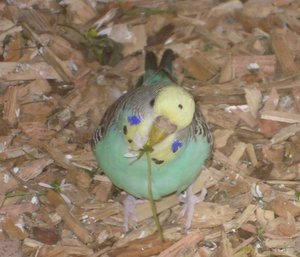 DSCN1106.JPG DSCN1106.JPG