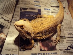 7409968azm.jpg 7409968azm.jpg