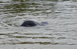 DSC02999.JPG DSC02999.JPG