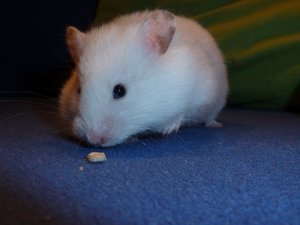 1.3.116.JPG 1.3.116.JPG