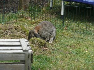 P1090743 michel 2.jpg