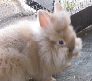 neid 001 - Kopie.JPG