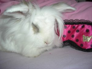 Meine liebste SchÃ¶nheitspflege.JPG