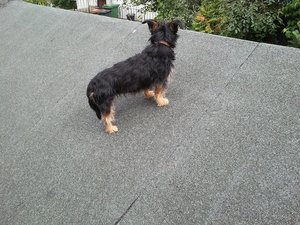 2011-06-20 16.00.30.jpg