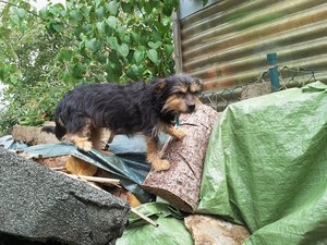 2011-06-20 16.02.08.jpg