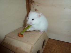 15.1.118.JPG 15.1.118.JPG