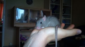 DSC03018.JPG DSC03018.JPG