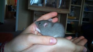 DSC03020.JPG DSC03020.JPG