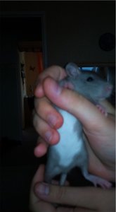 DSC03022.JPG DSC03022.JPG