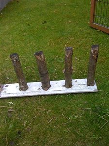 IMG_0523.JPG IMG_0523.JPG