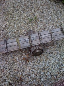 IMG_0529.JPG IMG_0529.JPG