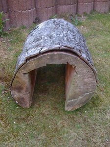 IMG_0531.JPG IMG_0531.JPG