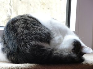 DSC02126.jpg DSC02126.jpg