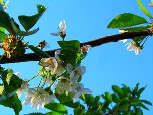 Kopie von öh 007.jpg Kopie von öh 007.jpg