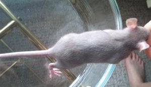 183044_135949453137664_100001678315148_231158_7642542_n.jpg 183044_135949453137664_100001678315148_231158_7642542_n.jpg