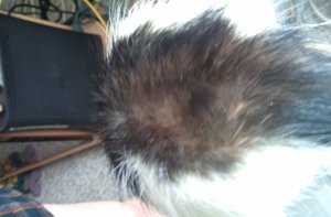 Kopie vonDSC00404.JPG Kopie vonDSC00404.JPG